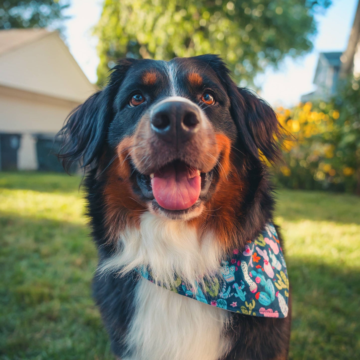 B&W Aztec Dog Bandana