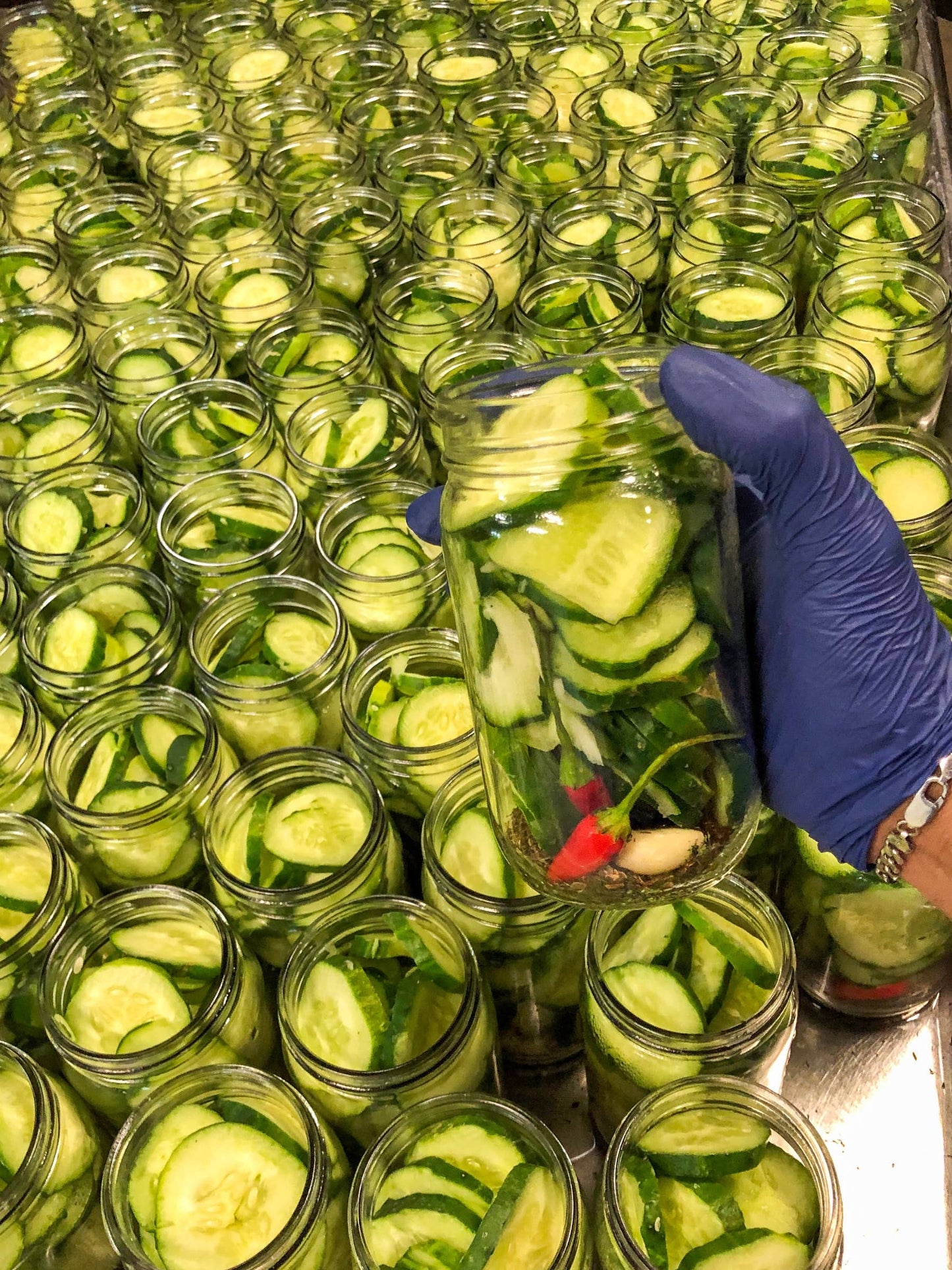 Dill Pickles | 16oz