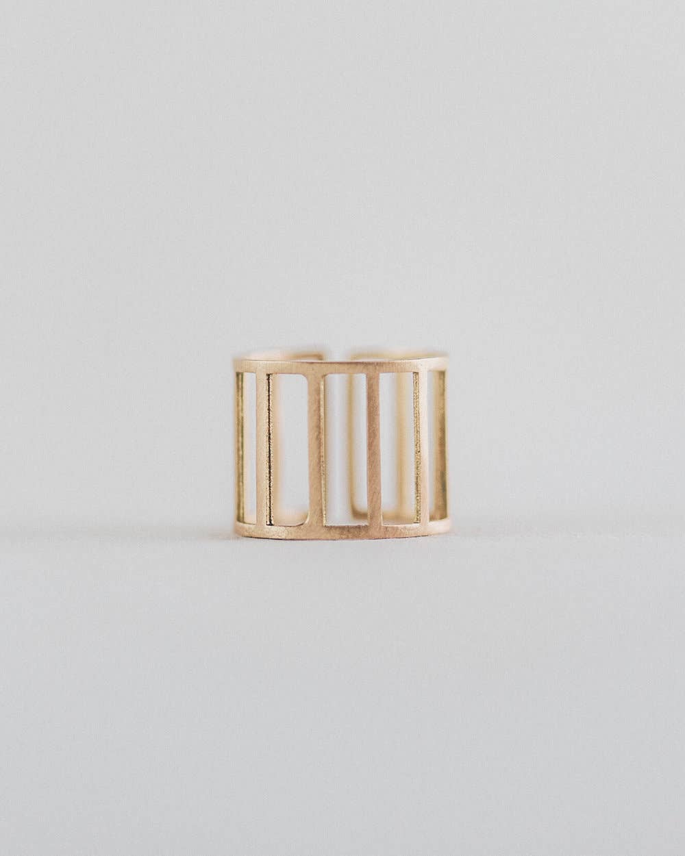 Aviary Rings