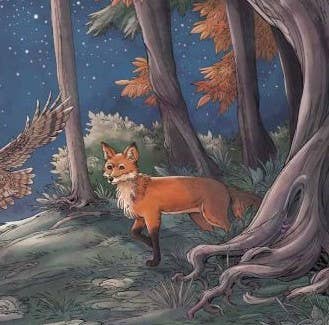 Full Moon Lore picture book