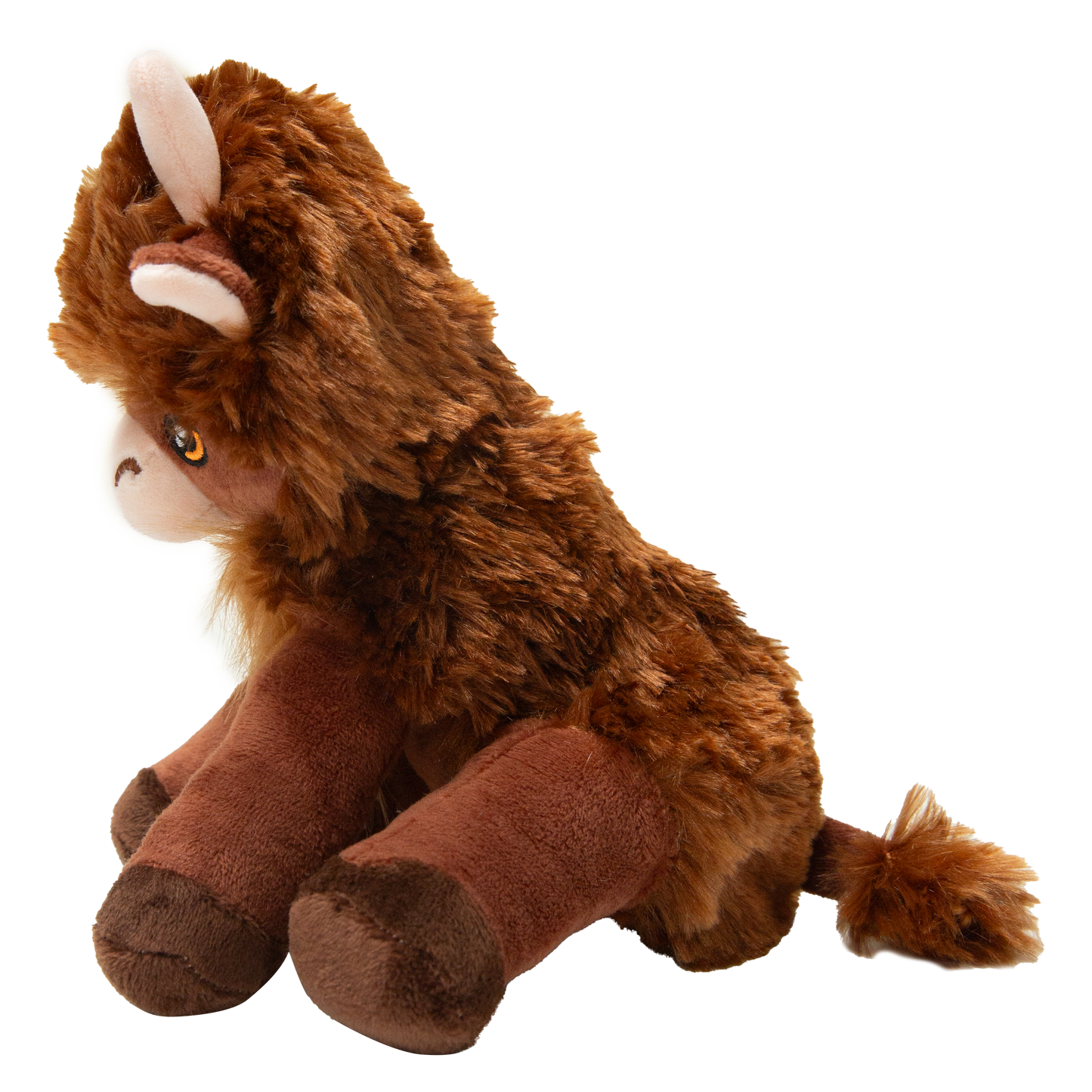 Nyland the Dog Highland