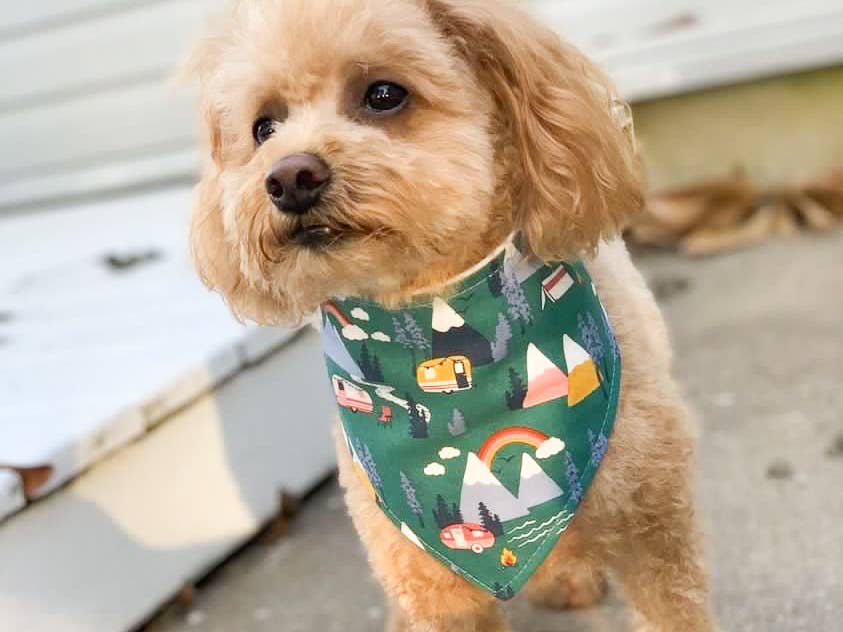 Campground Dog Bandana