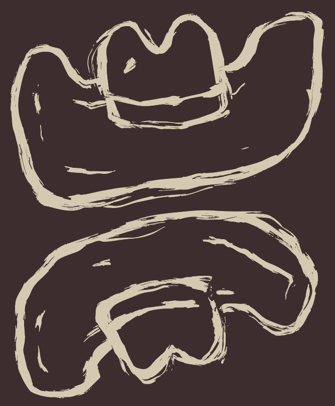 Howdy Plush Blanket - Brown