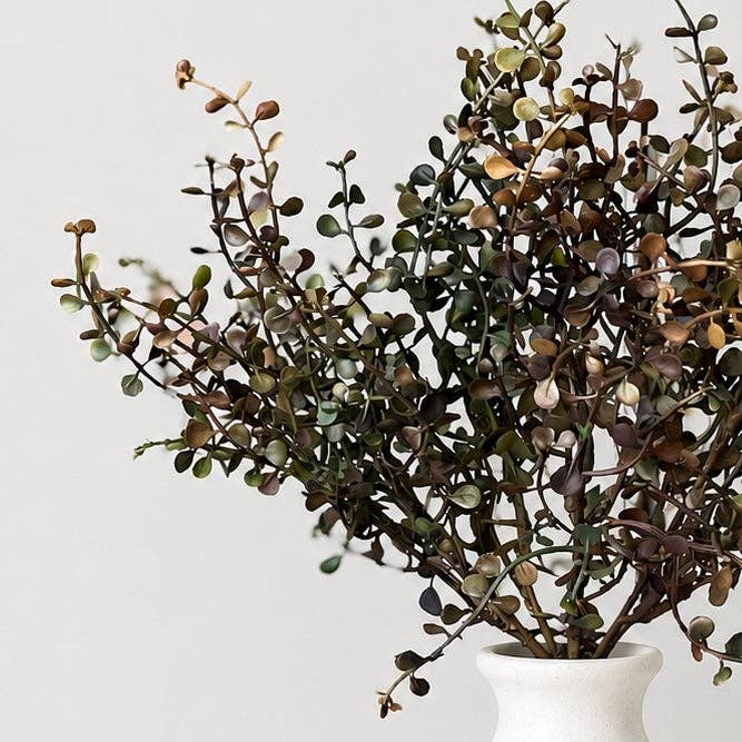 Leewood Shade Stem