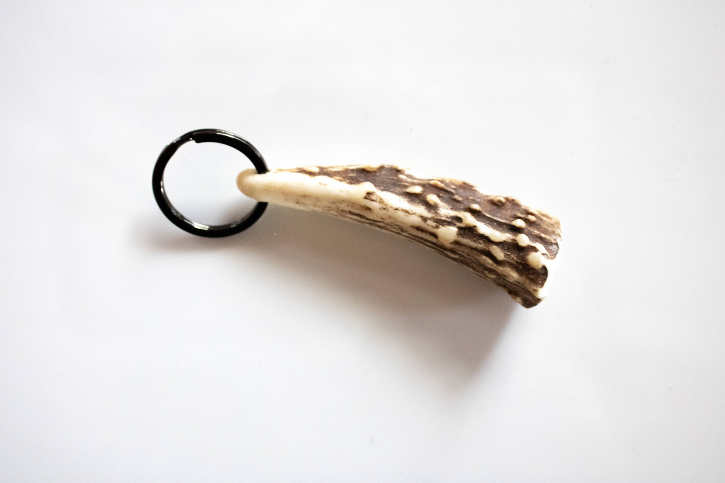 Elk Antler Key Chain