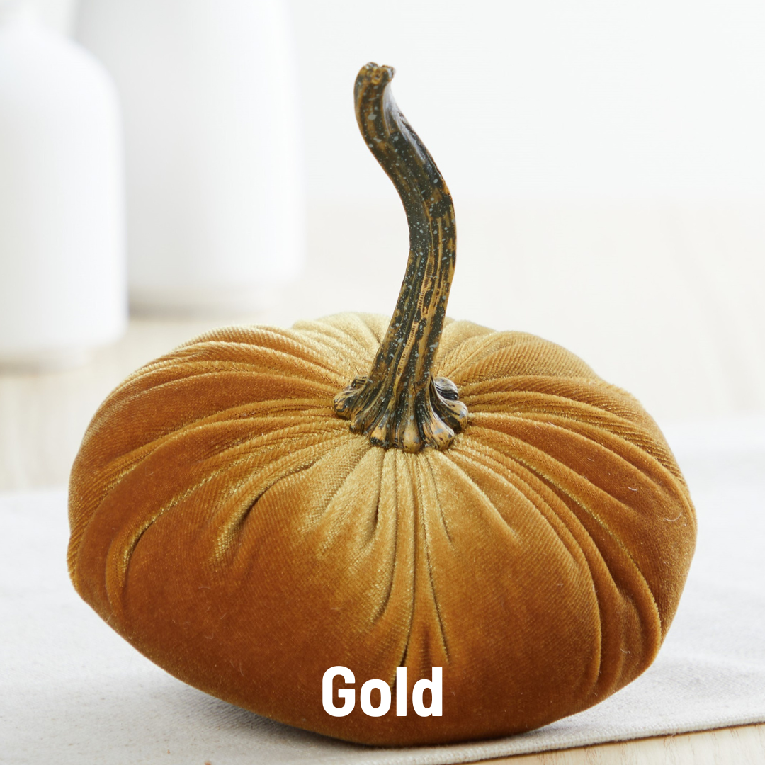 Pumpkin Small Velvet Fall