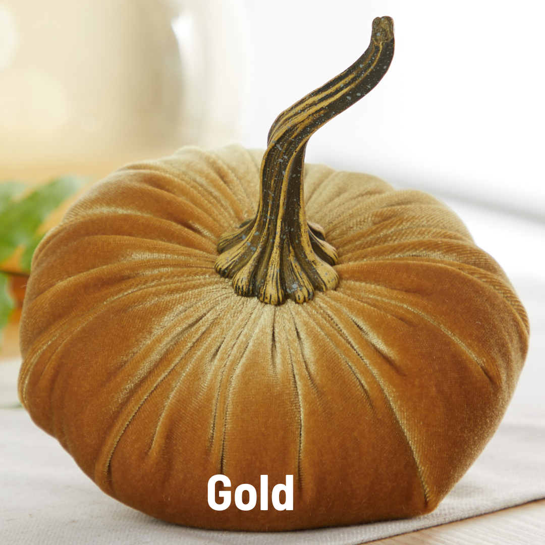 Pumpkin Large Velvet