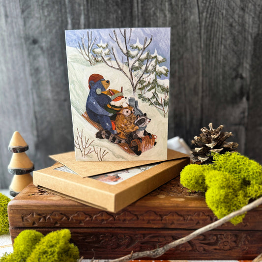 Snow Sledding Cards (Boxed Card Set)