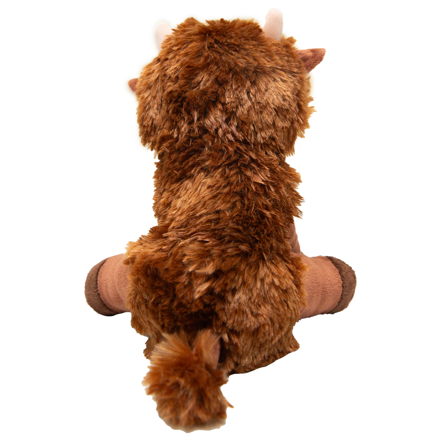 Nyland the Dog Highland