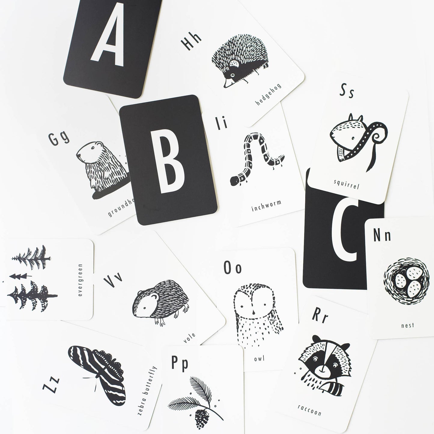 Woodland Alphabet Learning