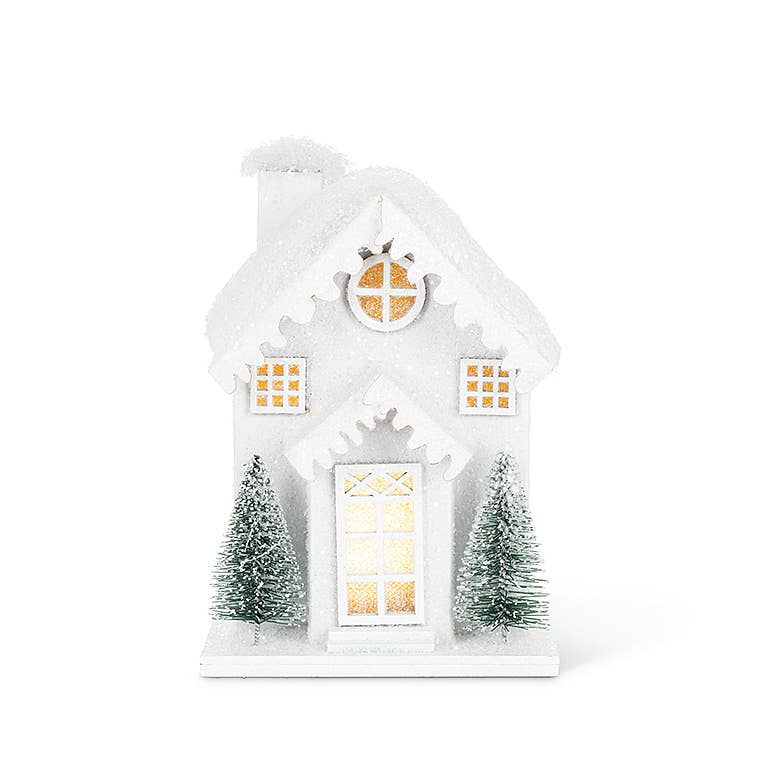 Small Snowy House