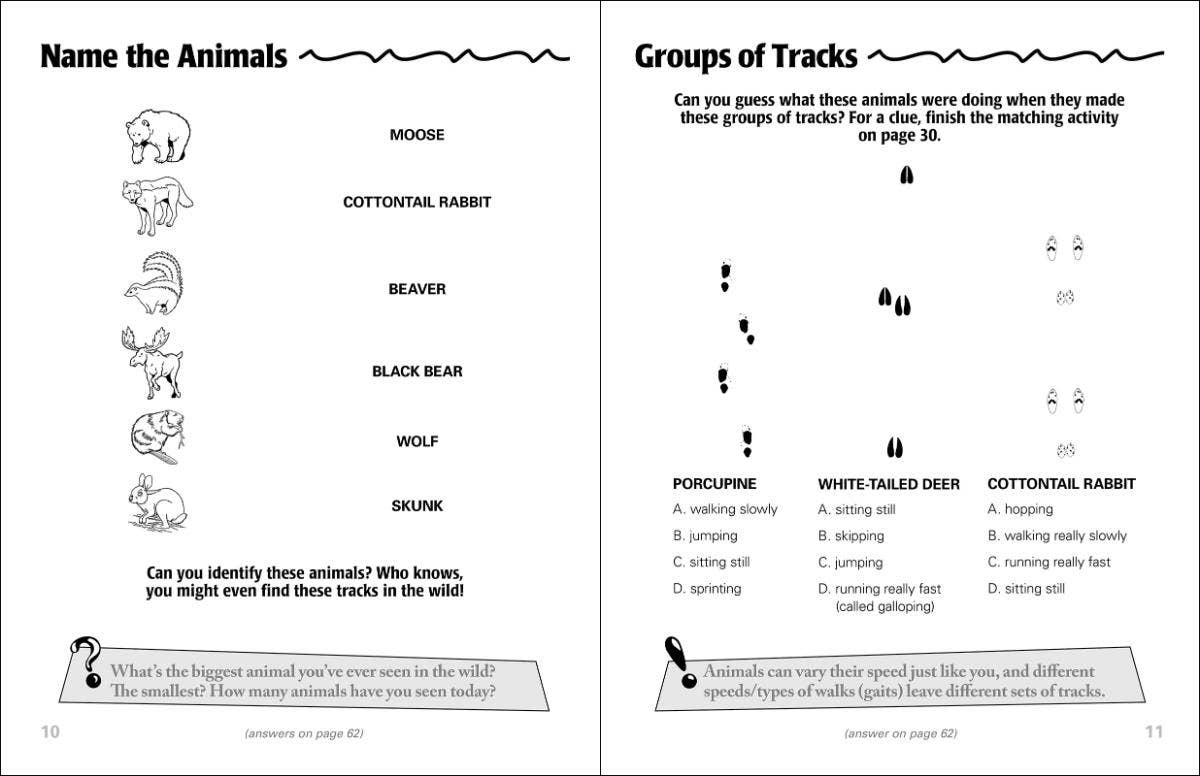 Animal Tracks Activity Book