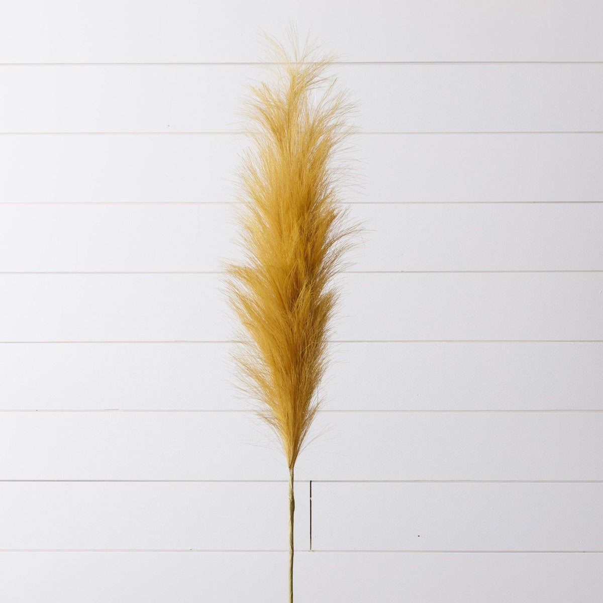 Golden Pampas Branch