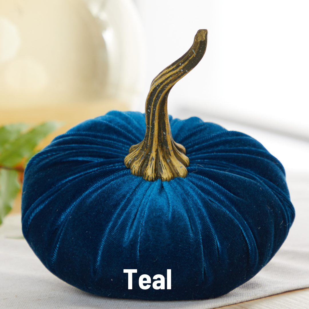 Pumpkin Large Velvet