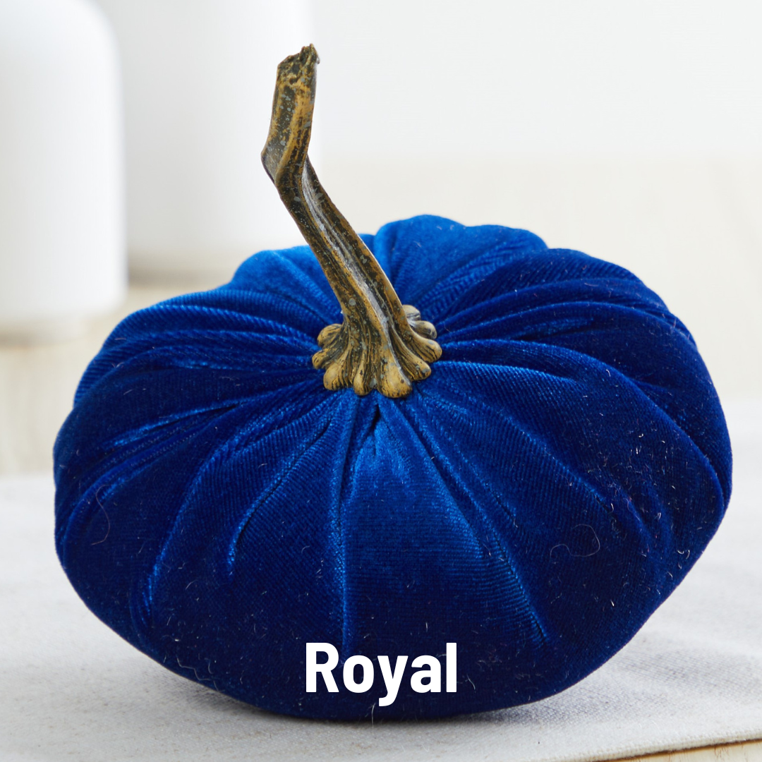 Pumpkin Small Velvet Fall