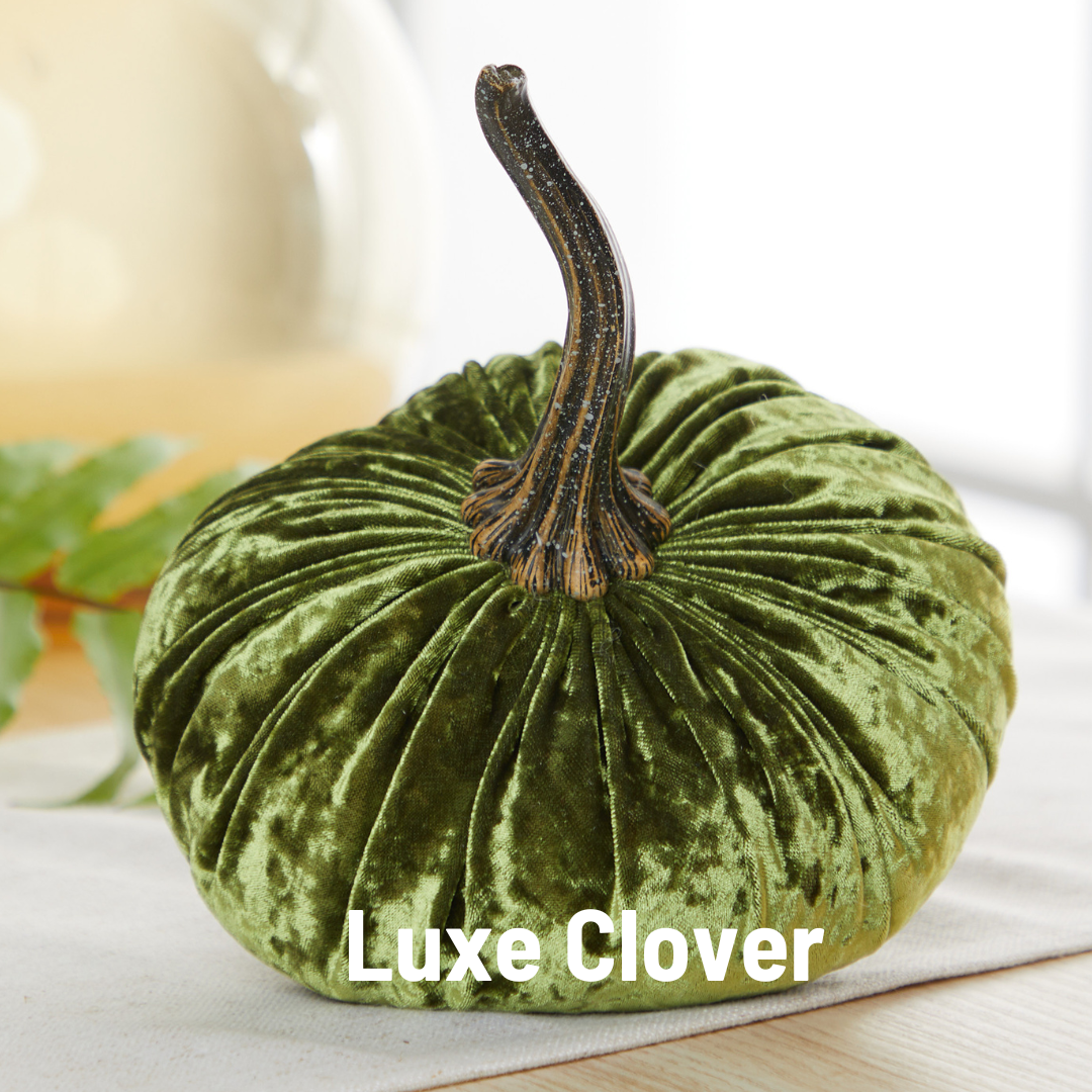 Pumpkin Large Velvet