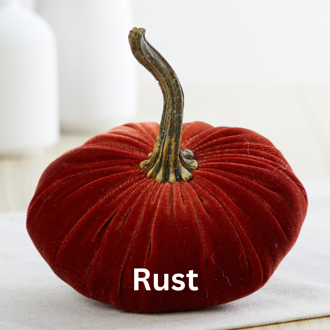 Pumpkin Small Velvet Fall