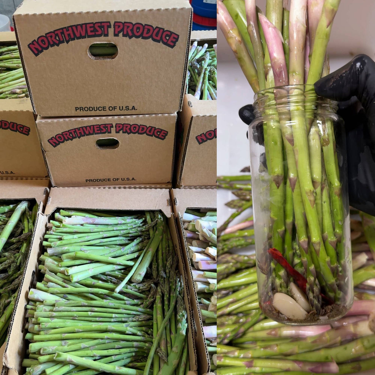 Handcrafted Pickled Asparagus