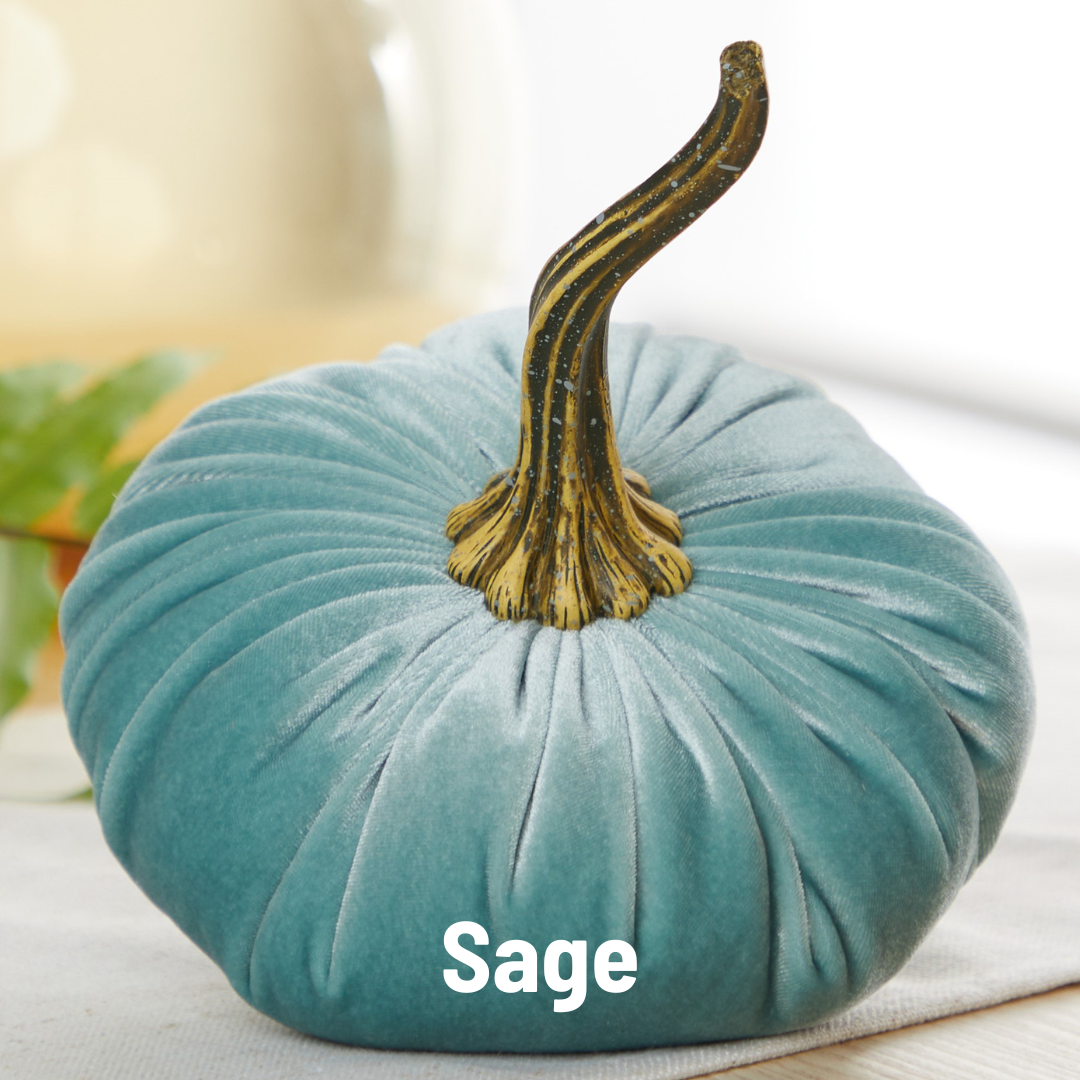 Pumpkin Large Velvet