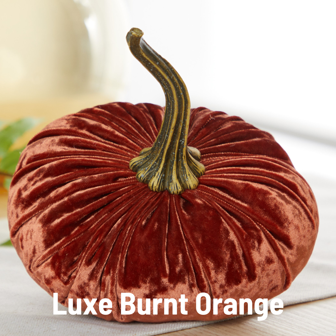 Pumpkin Large Velvet