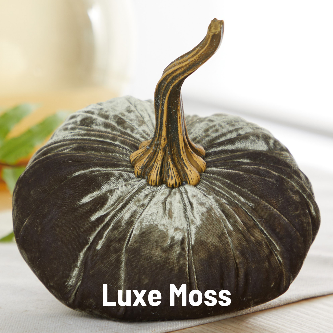 Pumpkin Large Velvet