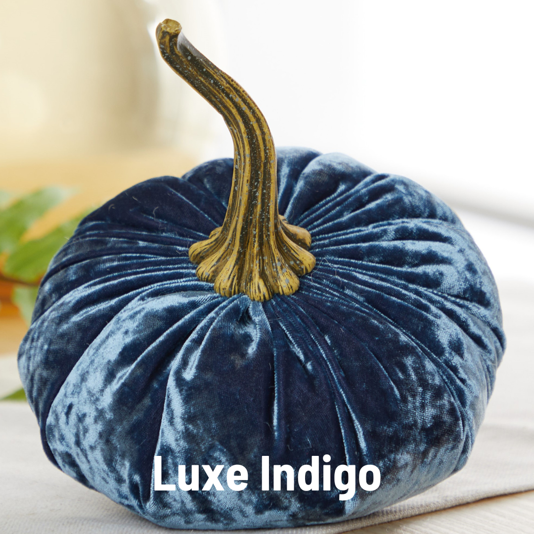 Pumpkin Large Velvet