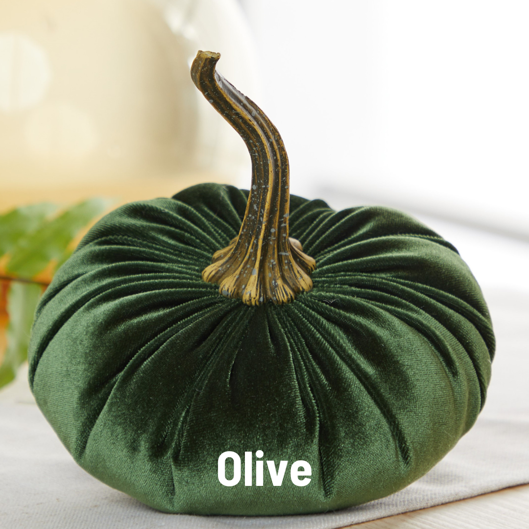 Pumpkin Large Velvet