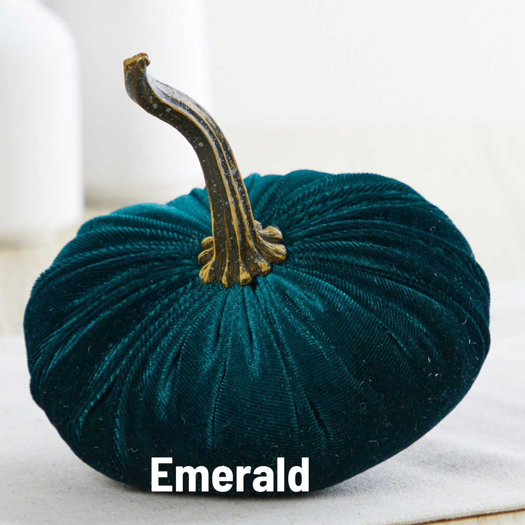 Pumpkin Small Velvet Fall