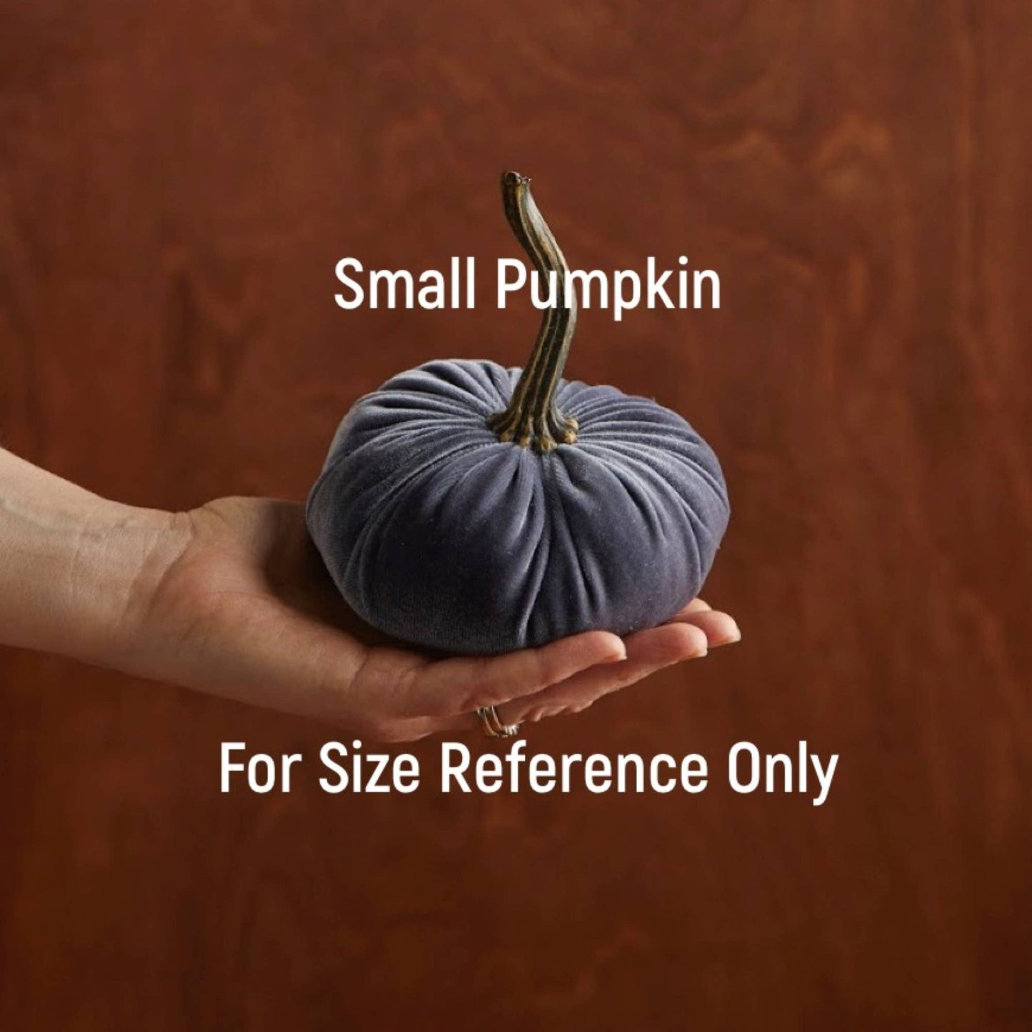 Pumpkin Small Velvet Fall