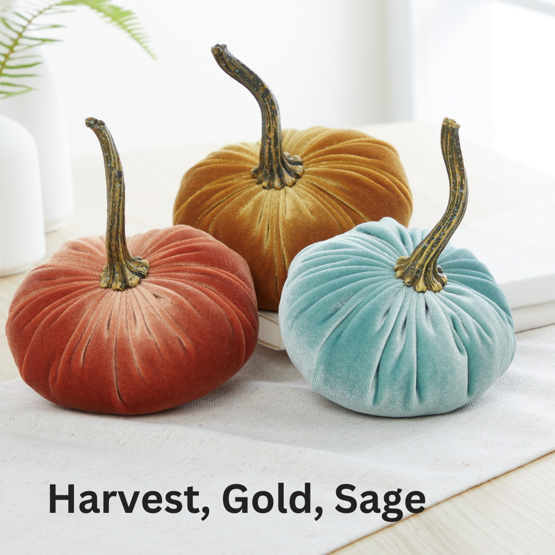 Pumpkin Small Velvet Fall