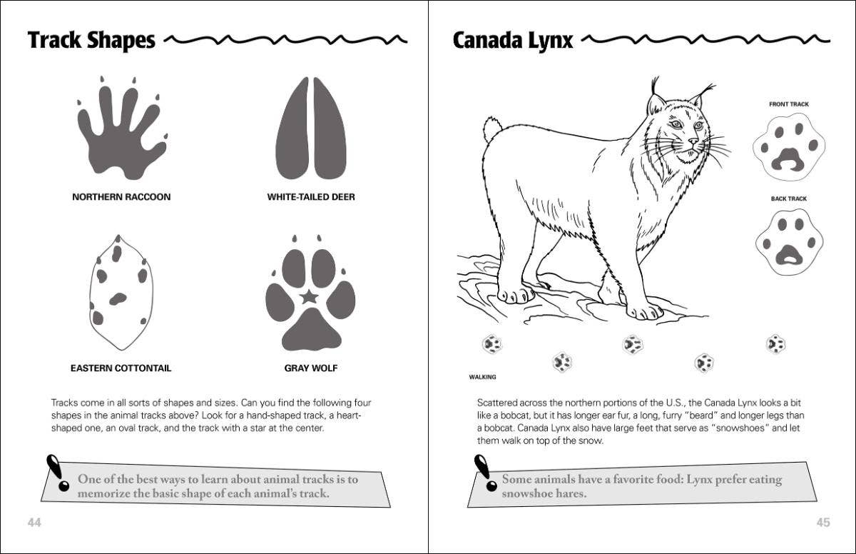 Animal Tracks Activity Book