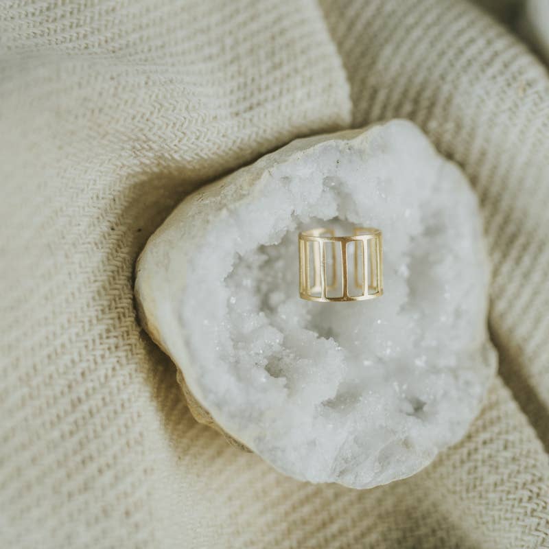 Aviary Rings