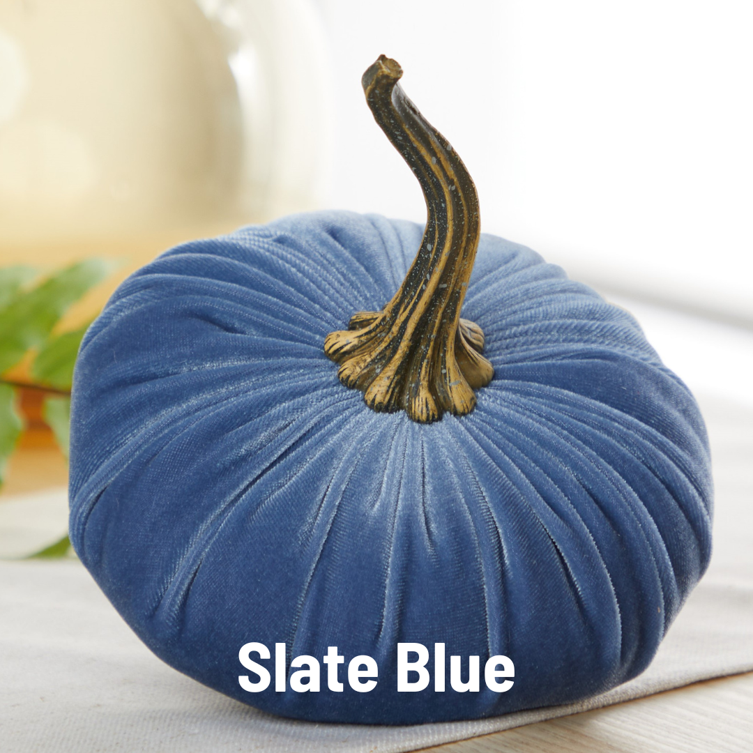 Pumpkin Large Velvet