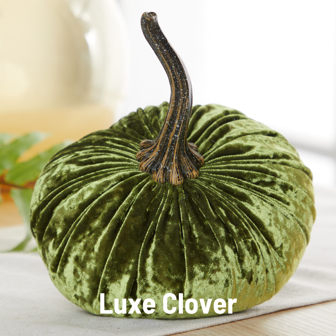 Pumpkin Small Velvet Fall