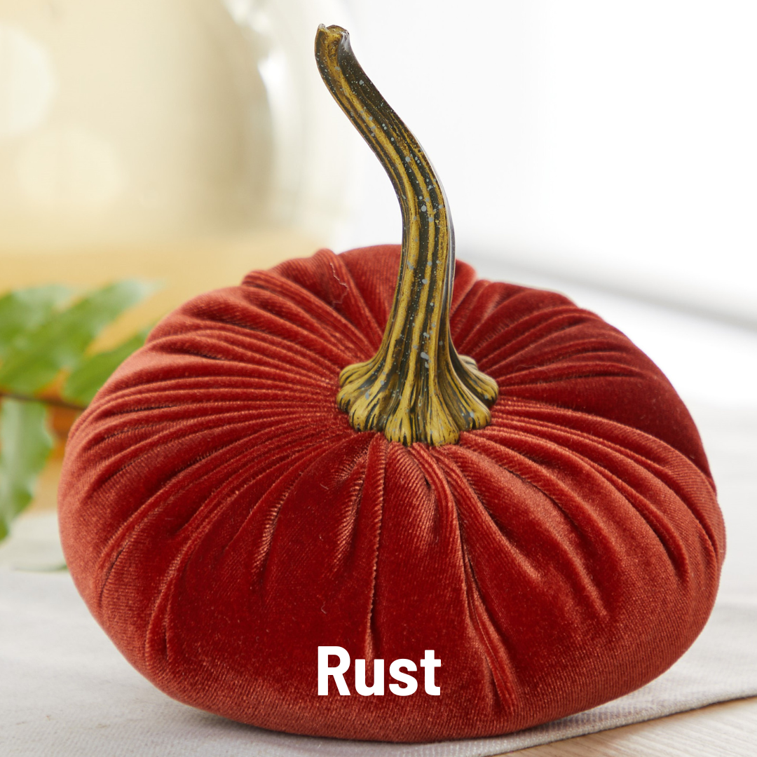 Pumpkin Large Velvet