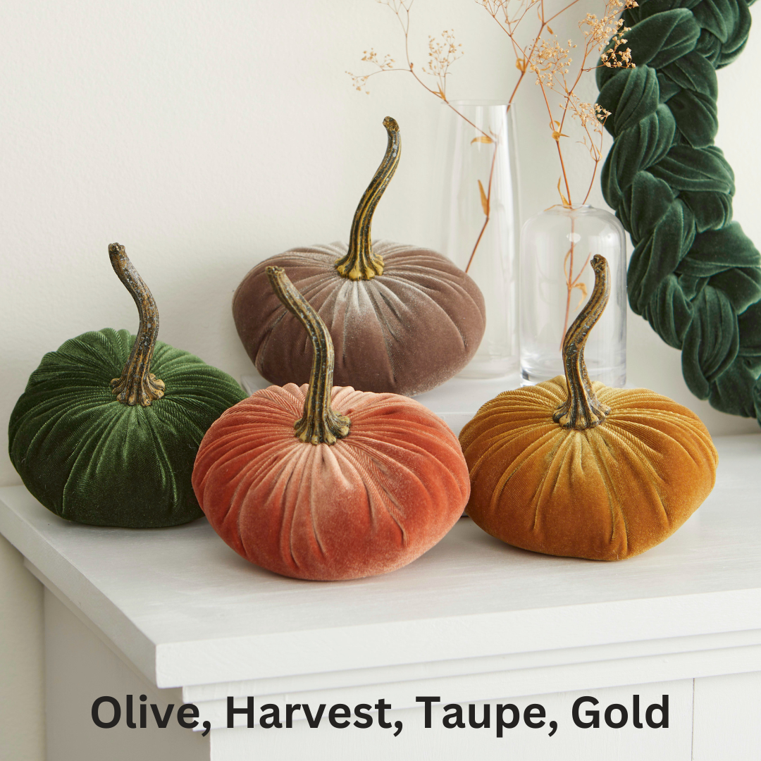 Pumpkin Small Velvet Fall