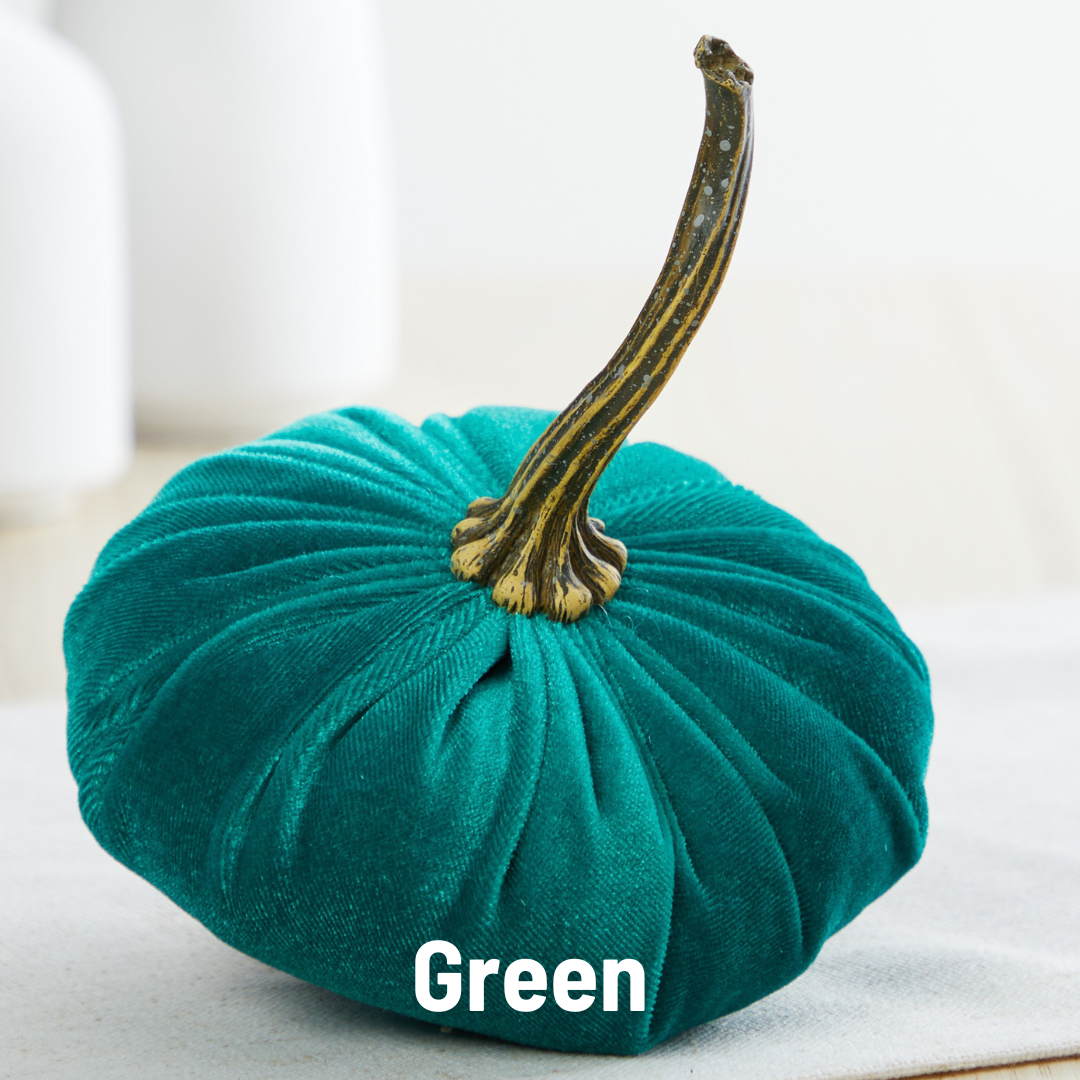 Pumpkin Small Velvet Fall