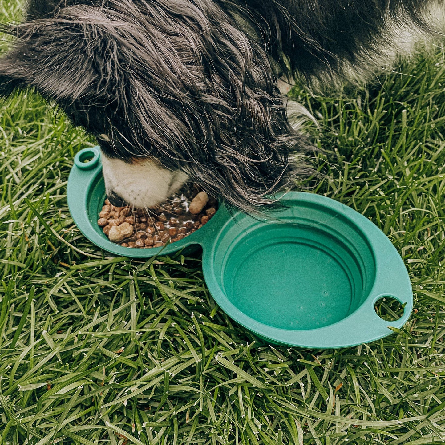 2-in-1 Travel Dog Bowl | Adventure Double Collapsible Camp